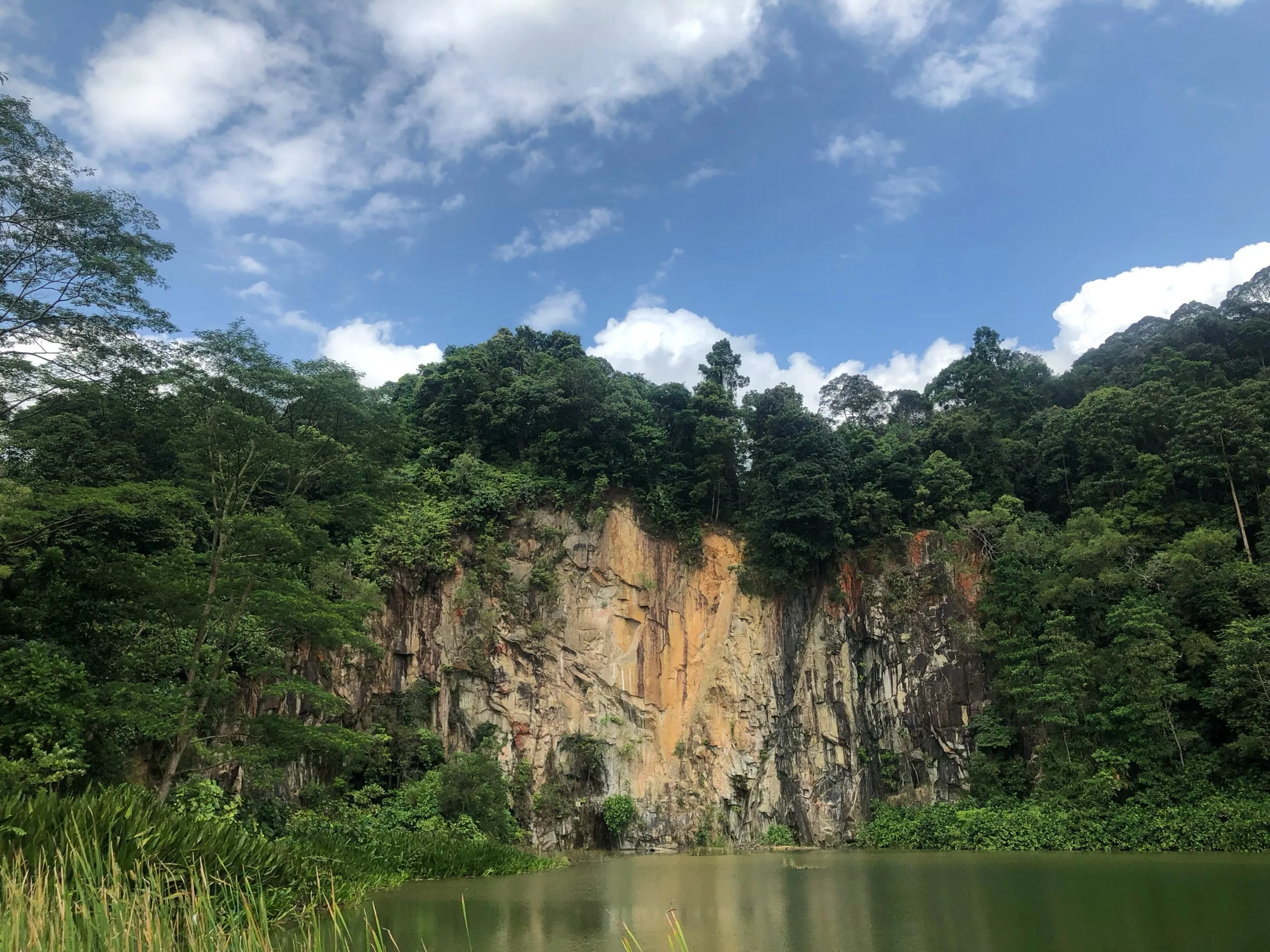 Singapore Quarry in Dairy Farm Nature Park, a sheer granite rock face topped with forest rising above a still quarry pond